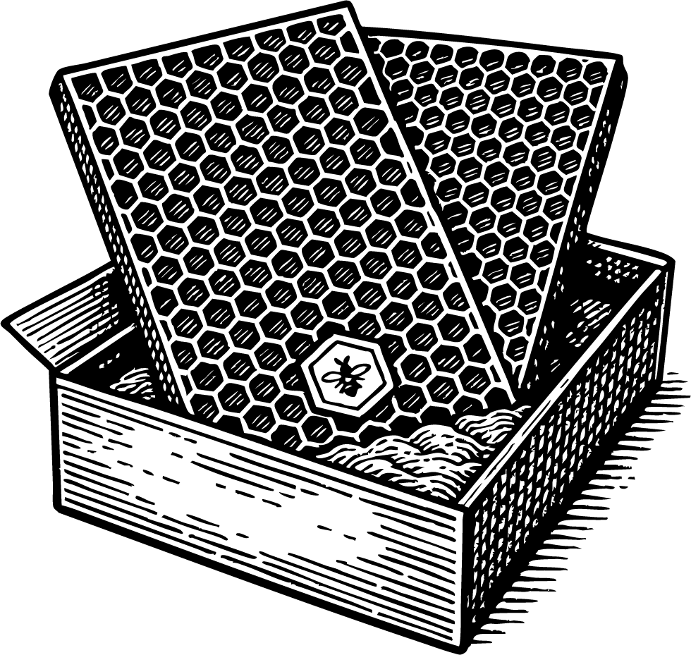 Mittelwände